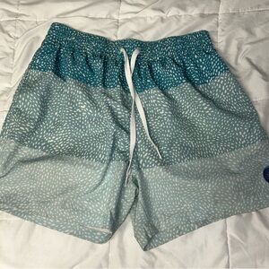 Chubbies Teal and White Swim Shorts